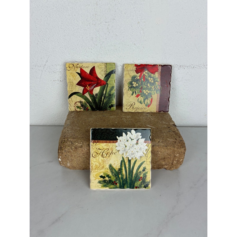 Pier 1 Multicolor Ceramic Coasters - OS - Holiday Botanical Floral Christmas Set
